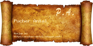 Pucher Antal névjegykártya