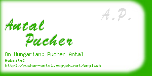antal pucher business card